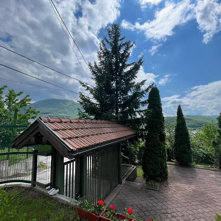 Forest Sarajevo