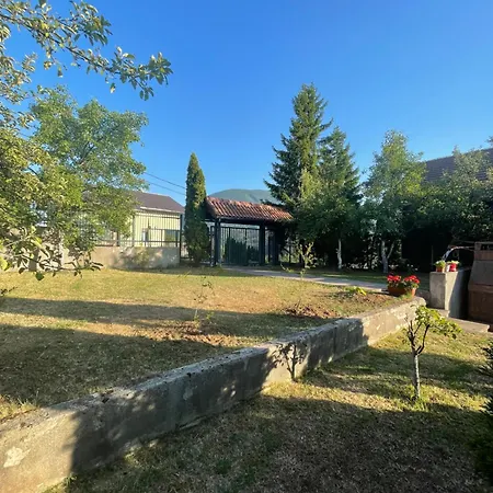 Forest Sarajevo Blazuj