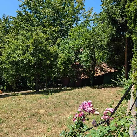 Forest Sarajevo Villa Blazuj