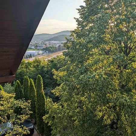 Forest Sarajevo *